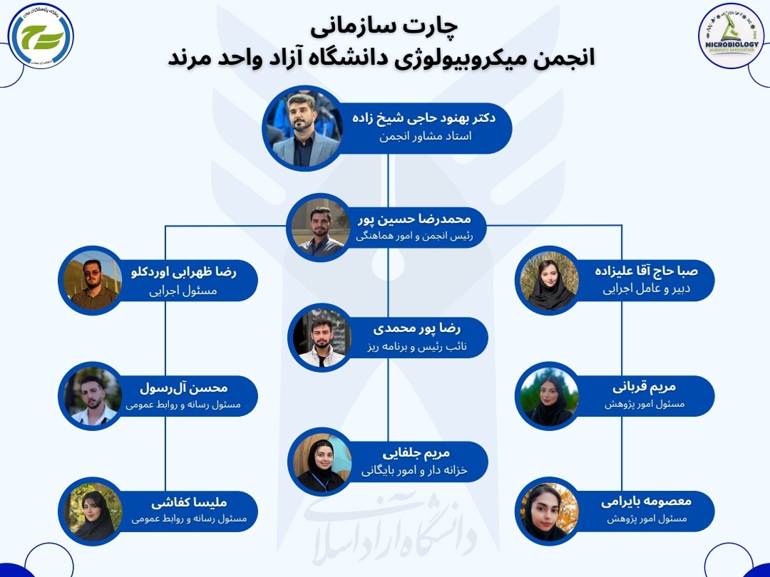 چارت هیئت مدیره انجمن